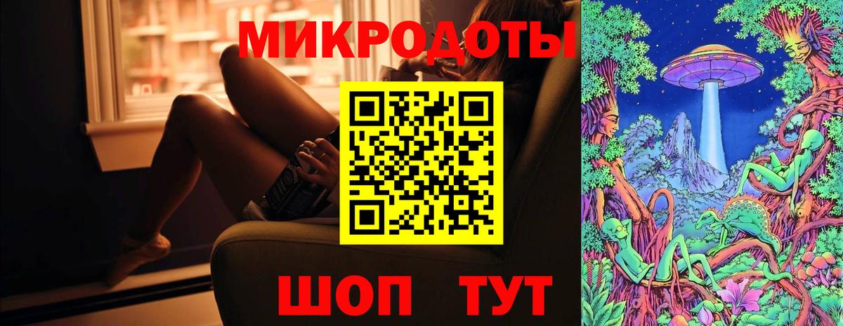 Геленджик  Псилоцибиновые грибы Psilocybe  Вход с VPN 